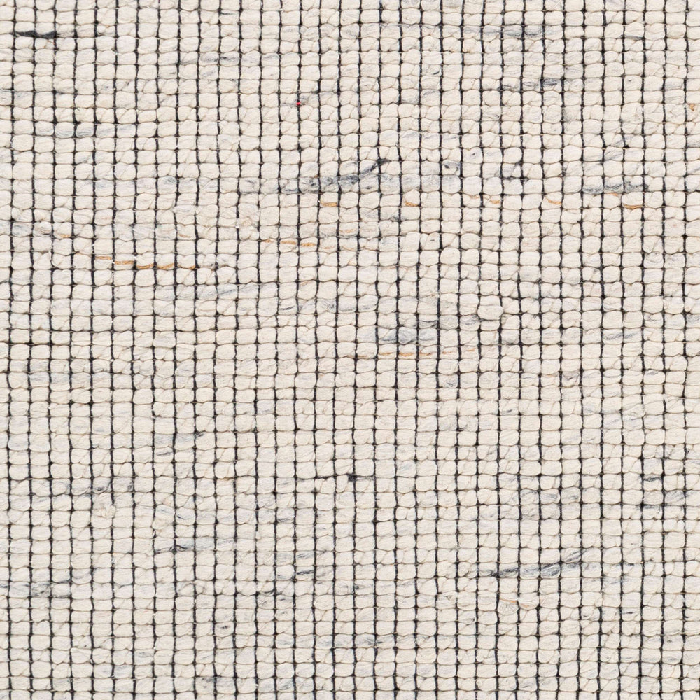 Surya Sierra Srr-2301 2' X 3' Handmade Rug – Minimalist Modern Design For Style And Comfort In Your Home Cream Cotton,Polyester,Wool Srr2301-23