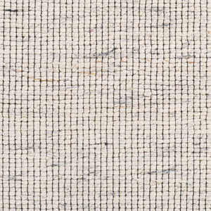 Surya Sierra Srr-2301 2' X 3' Handmade Rug – Minimalist Modern Design For Style And Comfort In Your Home Cream Cotton,Polyester,Wool Srr2301-23