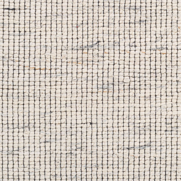 Surya Sierra Srr-2301 2' X 3' Handmade Rug – Minimalist Modern Design For Style And Comfort In Your Home Cream Cotton,Polyester,Wool Srr2301-23