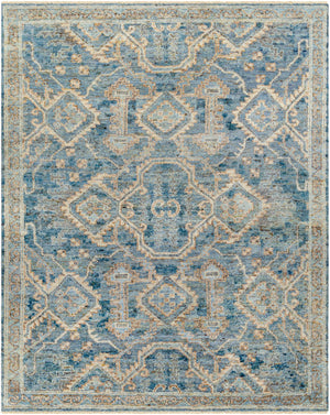 Surya Sakarya Handmade Rug SRY-2301