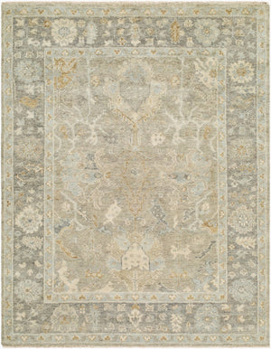 Surya Sakarya Hand-knotted Wool Accent Rug with Fringe for Entryway or Bedside Decor 8' x 10' Rectangle SRY2304-810