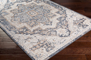 Livabliss St Tropez Machine Woven Polypropylene Area Rug Medallion Style for Living Rooms SRZ2303-6692