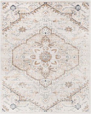 Livabliss St Tropez Machine Woven Polypropylene Area Rug Updated Traditional Pattern for Living Rooms Tan, Charcoal 7'10" x 9'6" SRZ2314-7996