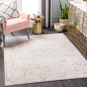 Livabliss St Tropez Traditional Runner Rug Polypropylene Hallway Accent with Medium Pile Pale Pink, Plum 5'3" x 7' SRZ2315-527