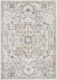 St Tropez SRZ-2318 7'10" x 9'6" Machine Woven Rug SRZ2318-7996 Livabliss Surya