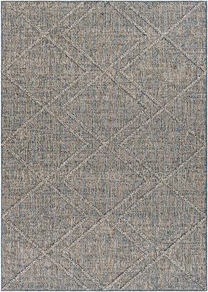 Sarasota SSO-2302 6'4" x 9' Machine Woven Rug SSO2302-679 Livabliss Surya