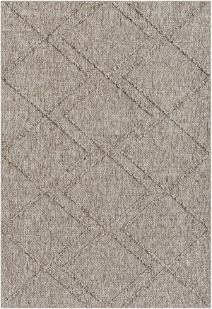 Sarasota SSO-2307 6'4" x 9' Machine Woven Rug SSO2307-679 Livabliss Surya