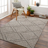 Sarasota SSO-2307 7'7" x 10' Machine Woven Rug SSO2307-71010 Livabliss Surya