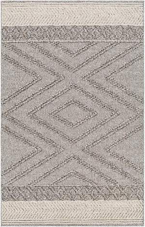 Sarasota SSO-2308 7'7" x 10' Machine Woven Rug SSO2308-71010 Livabliss Surya