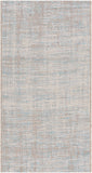 Santa Cruz STZ-6013 2' x 3'7" Machine Woven Rug STZ6013-237 Livabliss Surya