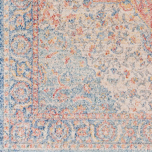 Livabliss Subtle Traditional Runner Rug with Fringe Polyester Pile for Hallways and Entryways SUB2302-2773