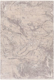 Subtle SUB-2316 5'3" x 7' Machine Woven Rug SUB2316-537 Livabliss Surya