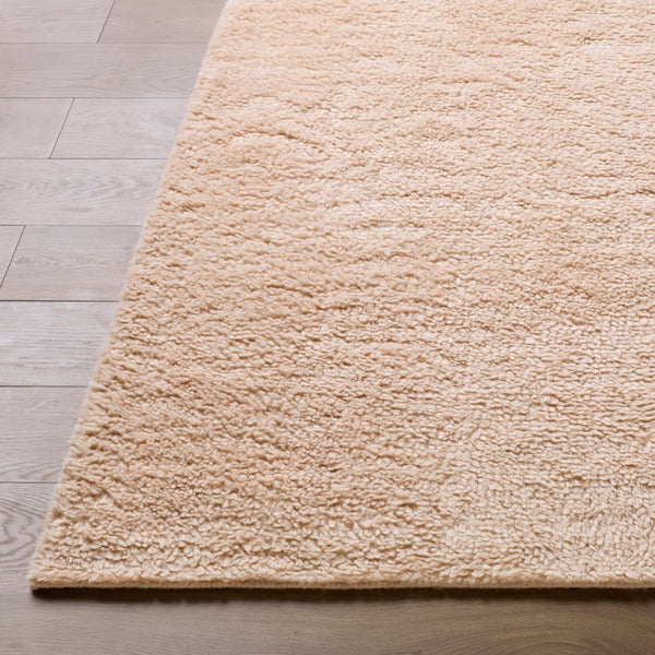 Livabliss Snuggle Hand-woven Cotton Wool Blend Plush Accent Rug for Entryway or Bedside The prominent c 2' x 3' SUG2301-23