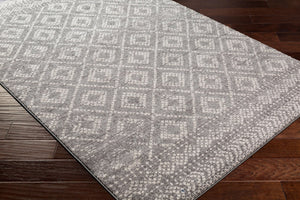 Livabliss Sunderland Bohemian Global Machine Woven Polypropylene Rug for Living or Dining Rooms SUN2302-5373