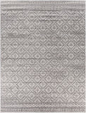 Sunderland SUN-2302 7'10" x 10'2" Machine Woven Rug SUN2302-710103 Livabliss Surya