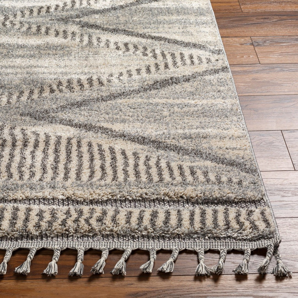 Livabliss Sousse Geometric Bohemian Global Area Rug High Pile Polypropylene Fringe Living Room SUS2300-9612