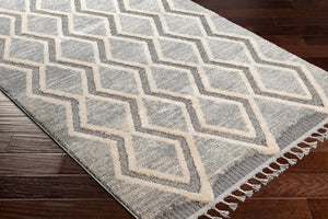 Livabliss Sousse Bohemian Global High Pile Area Rug with Fringe for Living Room Bedroom SUS2301-5673