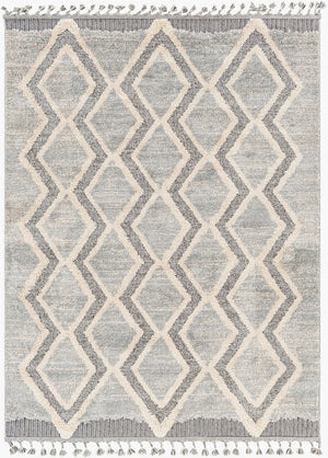 Livabliss Sousse Bohemian Global High Pile Area Rug with Fringe for Living Room Bedroom SUS2301-5673