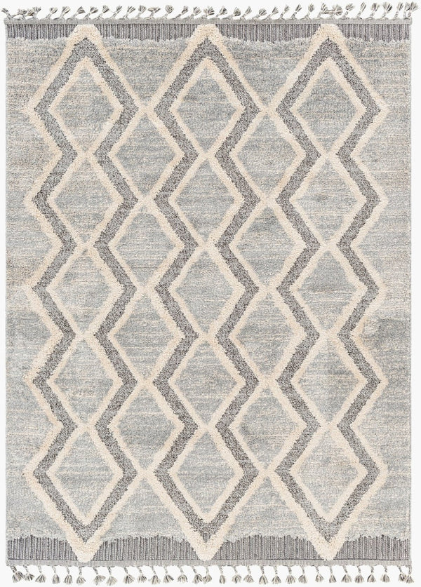 Livabliss Sousse Bohemian Global High Pile Area Rug with Fringe for Living Room Bedroom SUS2301-5673