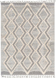 Sousse SUS-2301 5'6" x 7'3" Machine Woven Rug SUS2301-5673 Livabliss Surya