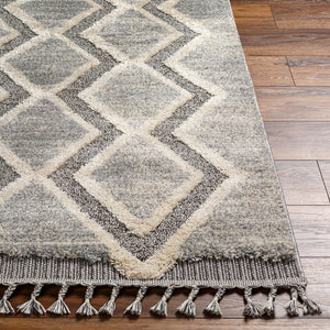 Livabliss Sousse Bohemian Global High Pile Area Rug with Fringe for Living Room Bedroom SUS2301-5673