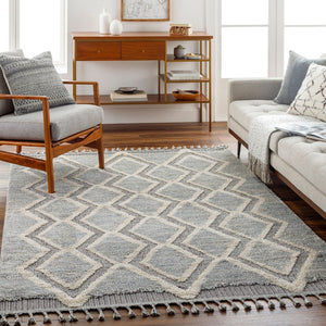 Livabliss Sousse Bohemian Global High Pile Area Rug with Fringe for Living Room Bedroom SUS2301-5673