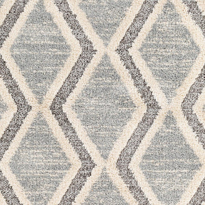 Livabliss Sousse Bohemian Global High Pile Area Rug with Fringe for Living Room Bedroom SUS2301-5673