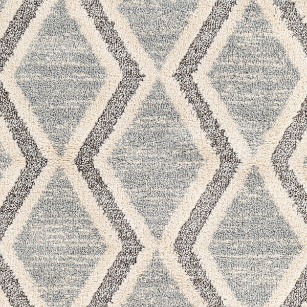 Livabliss Sousse Bohemian Global High Pile Area Rug with Fringe for Living Room Bedroom SUS2301-5673