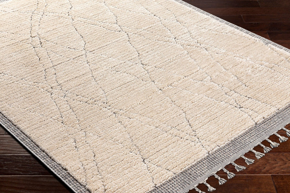 Livabliss Sousse Global Bohemian Area Rug with High Low Pile Texture and Fringe Border Accent SUS2303-5673