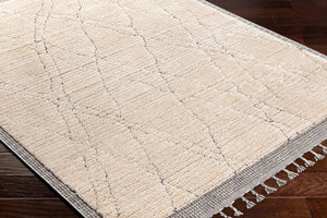 Livabliss Sousse Global Bohemian Area Rug with High Low Pile Texture and Fringe Border Accent SUS2303-5673