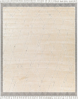 Livabliss Sousse Global Bohemian Area Rug with High Low Pile Texture and Fringe Border Accent SUS2303-5673