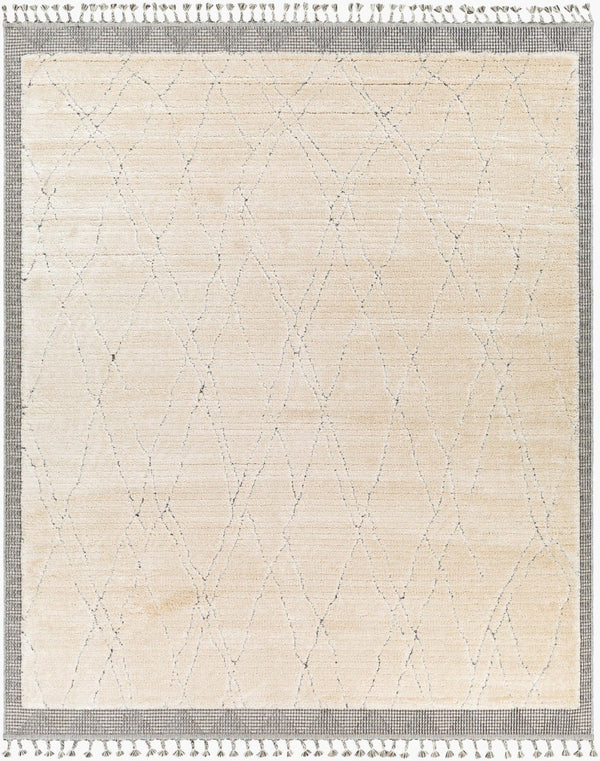 Livabliss Sousse Global Bohemian Area Rug with High Low Pile Texture and Fringe Border Accent SUS2303-5673