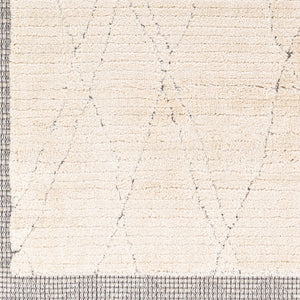 Livabliss Sousse Global Bohemian Area Rug with High Low Pile Texture and Fringe Border Accent SUS2303-5673