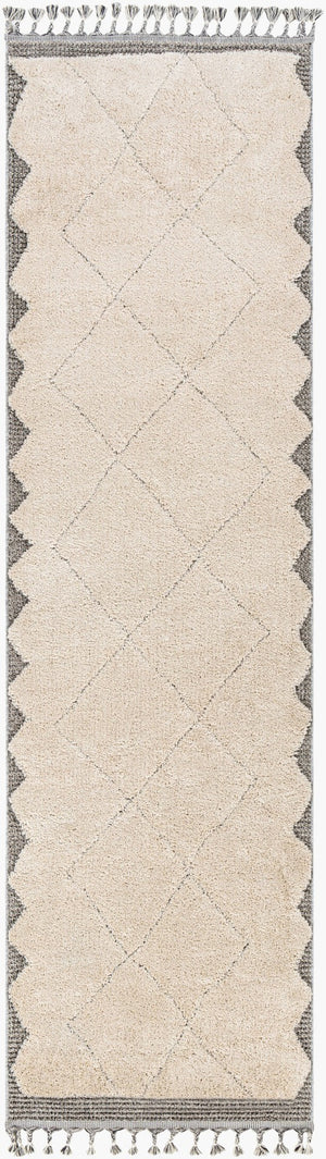 Livabliss Sousse Bohemian Global Runner Rug High Pile Polypropylene Fringe Hallway Entryway Light Beige, Ch 2'10" x 10' SUS2304-21010
