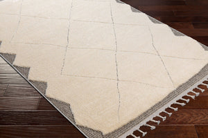 Livabliss Sousse Bohemian Global Runner Rug High Pile Polypropylene Fringe Hallway Entryway Light Beige, Ch 9'6" x 12' SUS2304-9612