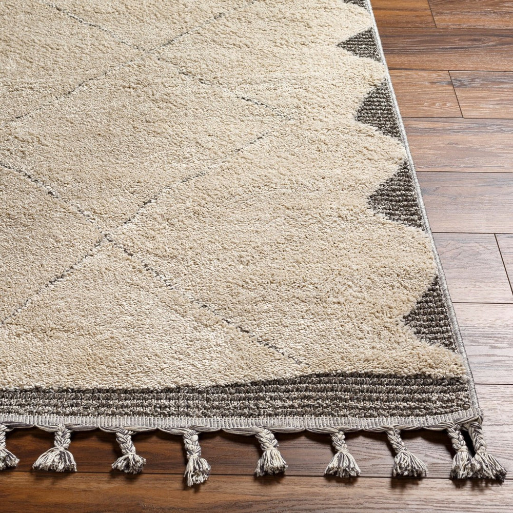 Livabliss Sousse Bohemian Global Runner Rug High Pile Polypropylene Fringe Hallway Entryway Light Beige, Ch 2'10" x 10' SUS2304-21010