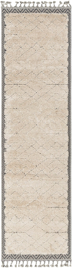 Sousse SUS-2305 2'10" x 10' Machine Woven Rug SUS2305-21010 Livabliss Surya