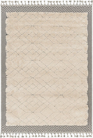Livabliss Sousse Bohemian Geometric High Pile Polypropylene Area Rug with Fringe for Living Rooms SUS2305-5673