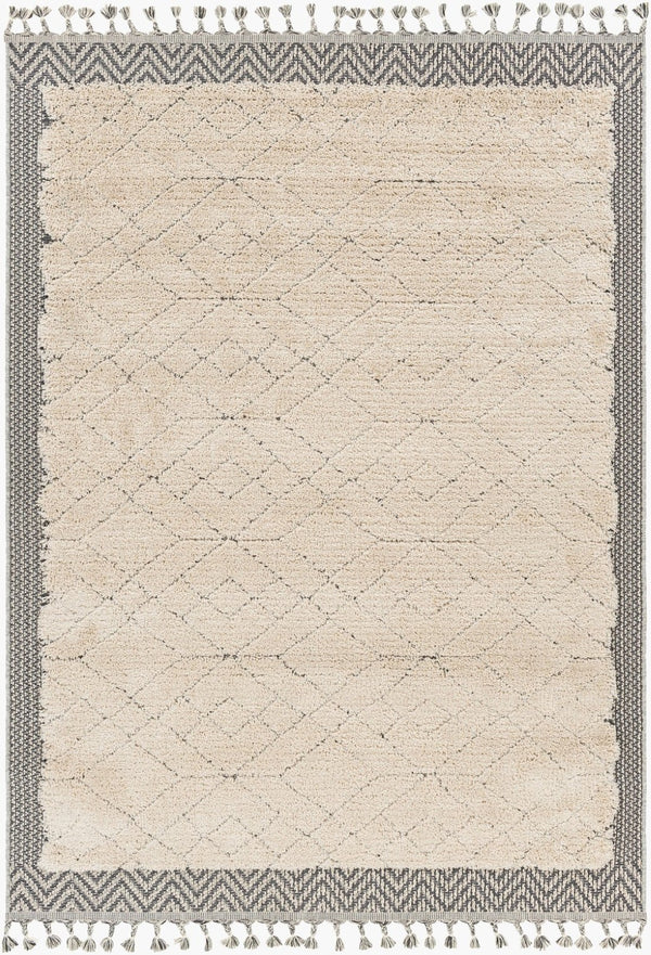 Livabliss Sousse Bohemian Geometric High Pile Polypropylene Area Rug with Fringe for Living Rooms SUS2305-5673