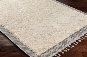 Livabliss Sousse Bohemian Geometric High Pile Polypropylene Area Rug with Fringe for Living Rooms SUS2305-5673