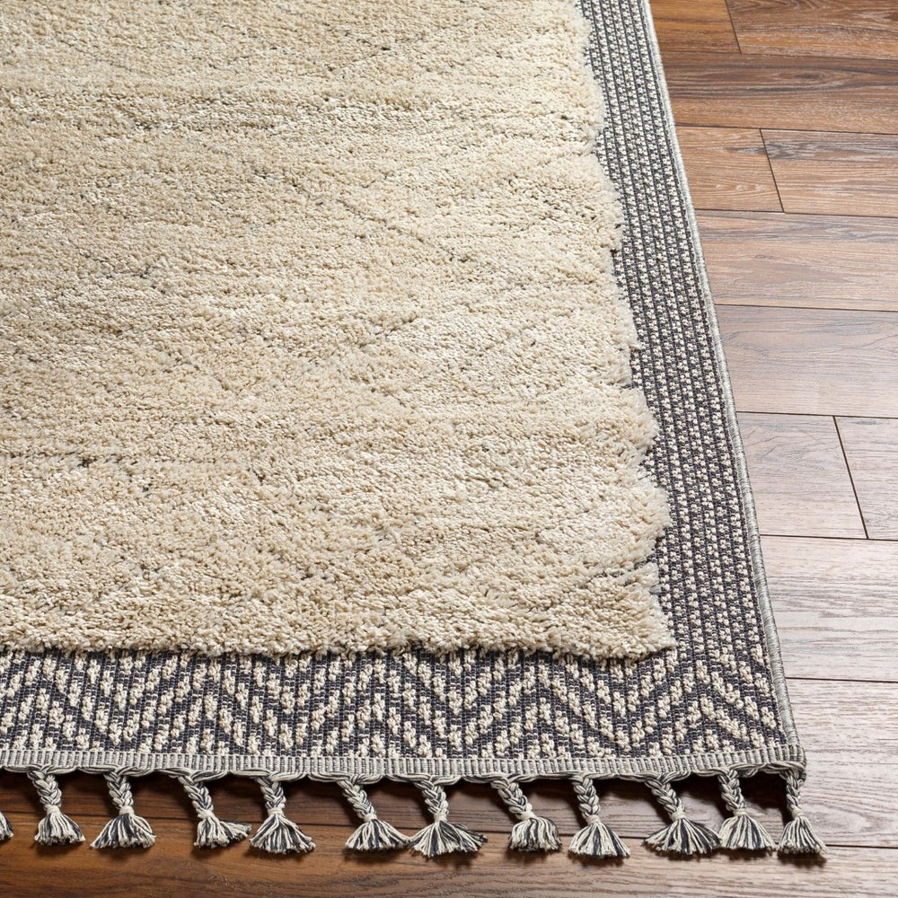 Livabliss Sousse Bohemian Geometric High Pile Polypropylene Area Rug with Fringe for Living Rooms SUS2305-5673