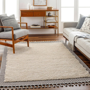 Livabliss Sousse Bohemian Geometric High Pile Polypropylene Area Rug with Fringe for Living Rooms SUS2305-5673