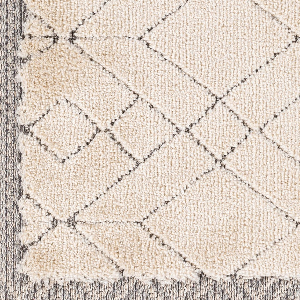 Livabliss Sousse Bohemian Geometric High Pile Polypropylene Area Rug with Fringe for Living Rooms SUS2305-5673