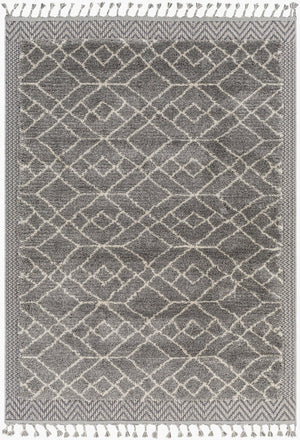 Livabliss Sousse Bohemian Global High Pile Polypropylene Area Rug with Fringe for Living Rooms SUS2306-9612