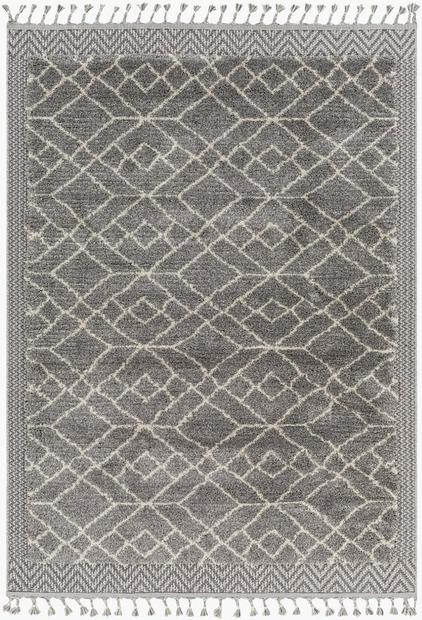 Livabliss Sousse Bohemian Global High Pile Polypropylene Area Rug with Fringe for Living Rooms SUS2306-9612