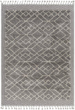 Sousse SUS-2306 5'6" x 7'3" Machine Woven Rug SUS2306-5673 Livabliss Surya