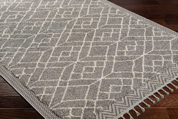 Livabliss Sousse Bohemian Global High Pile Polypropylene Area Rug with Fringe for Living Rooms SUS2306-9612