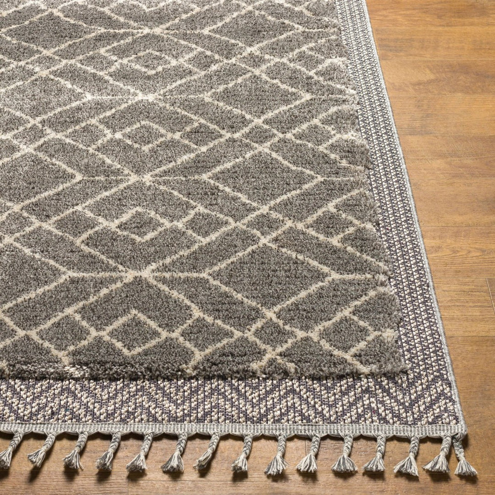 Livabliss Sousse Bohemian Global High Pile Polypropylene Area Rug with Fringe for Living Rooms SUS2306-9612
