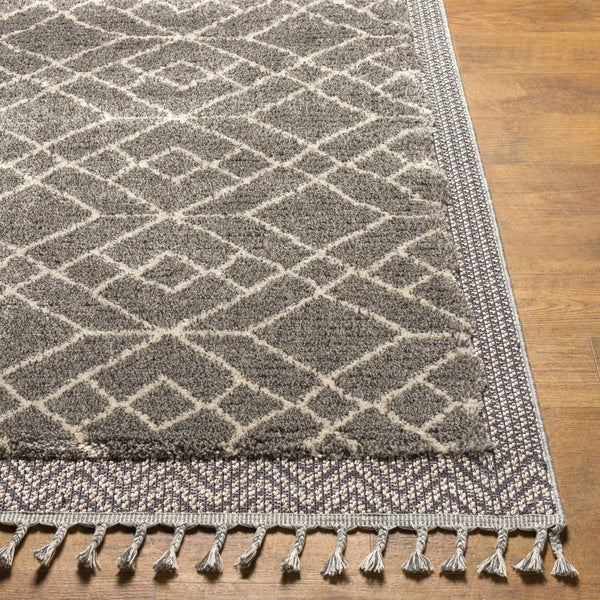 Livabliss Sousse Bohemian Global High Pile Polypropylene Area Rug with Fringe for Living Rooms SUS2306-9612