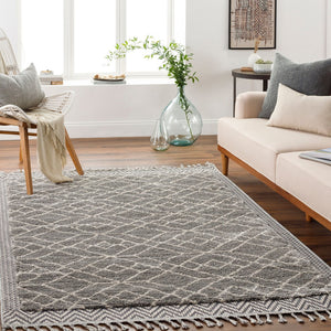 Livabliss Sousse Bohemian Global High Pile Polypropylene Area Rug with Fringe for Living Rooms SUS2306-9612